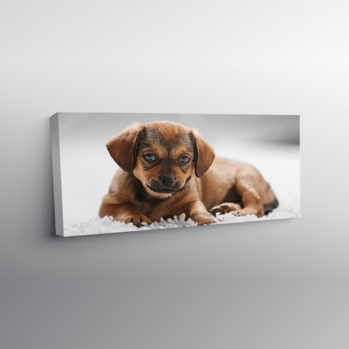Personalised 12x24" Photo Canvas