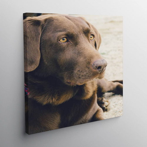 Personalised 30x24" Photo Canvas