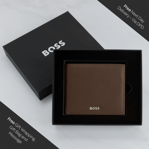 Hugo Boss Classic Smooth Money Wallet - Brown