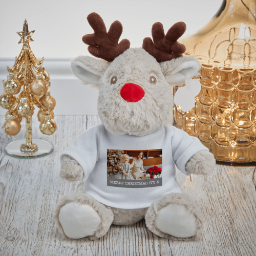 Reindeer Photo Plush Toy