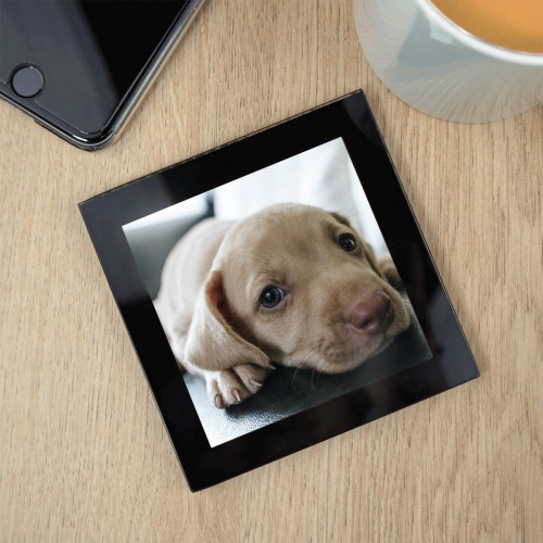 personalised glass pet photo coaster