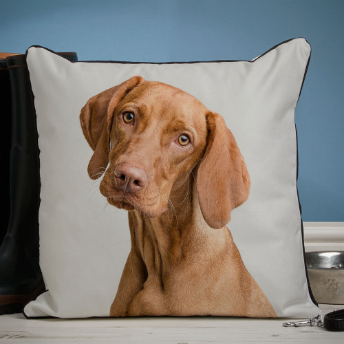 personalised pet photo piped cushion