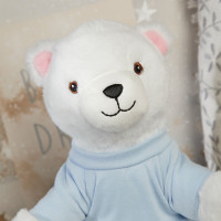 personalised photo bear