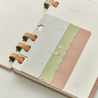 2025 Moleskine Life planner