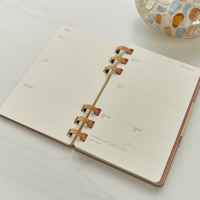 2025 Moleskine Life planner