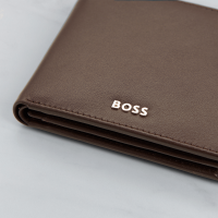 Hugo Boss Classic Smooth Money Wallet - Brown