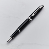 personalised Waterman Expert Fountain Pen