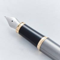 Parker IM Grey Gold Trim Fountain Pen