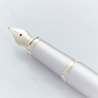 Parker IM Monochrome Champagne Fountain Pen