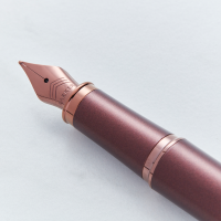 Parker IM Monochrome Burgundy Fountain Pen