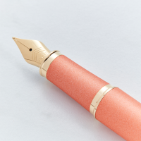 Parker IM Rituals Orange Gold Trim Fountain Pen 