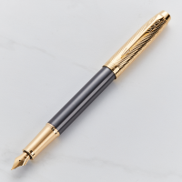 Parker IM Premium Pionerrs Collection Arrow Gold Trim Fountain Pen