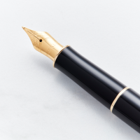 Parker Sonnet Black Gold Trim Fountain Pen