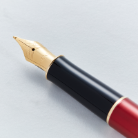 Parker Sonnet Red Gold Trim Fountain Pen