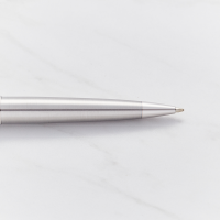 Waterman Expert Stainless Steel Chrome Trim Ballpoint Pen