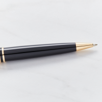  Waterman Expert Black Lacquer Gold Trim Ballpoint Pen