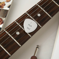 Personalised Plectrum