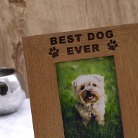 personalised best dog photo frame