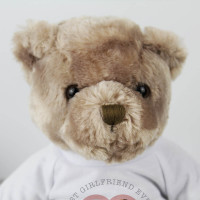 personalised Best Girlfriend Ever Cuddly Photo Bear