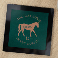 personalised Best Horse in the World Black Glass Coaster