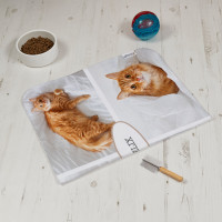 Cat Fish 4 Photo Blanket