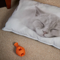 personalised Photo Cat Bed