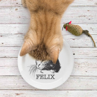 personalised cat drawing plate