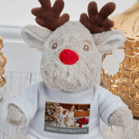 Reindeer Photo Plush Toy