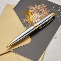 Chrome with Gold Trim Ballpoint Pen & Case