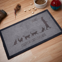 personalised Crazy Cat Lady Lives Here Doormat