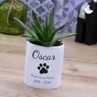 Personalised Plant Pot