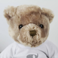 personalised Elephant Cuddly Bear