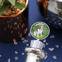 personalised Photo Bottle Stopper