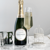 Just Married 180ml Infinity Champagne Flute