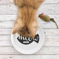 Personalised meow plate