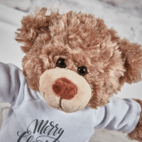 Merry Christmas Small Bodo Bear