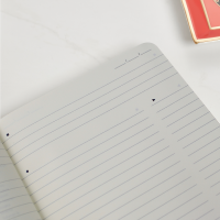 Personalised Moleskine Pro Notebook