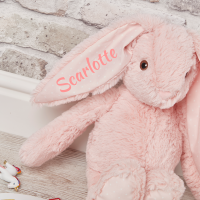 Personalised Rabbit