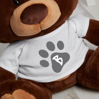 personalised paw toy choc charlie teddy bear