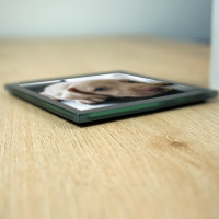 personalised glass pet photo coaster