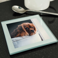 Personalised Glass Photo Coaster (Silver)