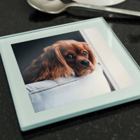 Personalised Glass Photo Coaster (Silver)