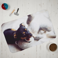 Pet Photo Blanket