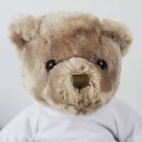 personalised Photo Message Cuddly Bear