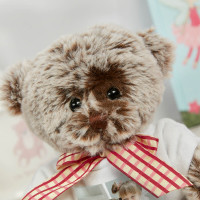 personalised Photo Coco Bear 15cm