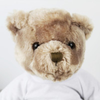 Personalised Large Photo Bear