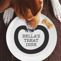 personalised sausage dog plate