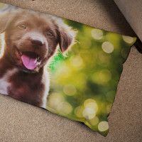 personalised Small Dog Bed