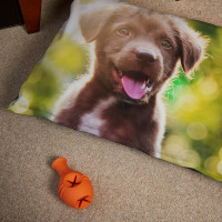 personalised Small Dog Bed