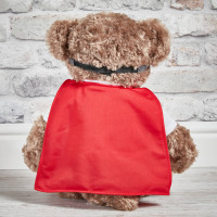 Large bodo super hero bear